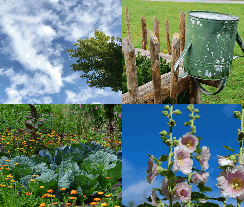 Wohlfühlpäckchen Sommergarten 2026