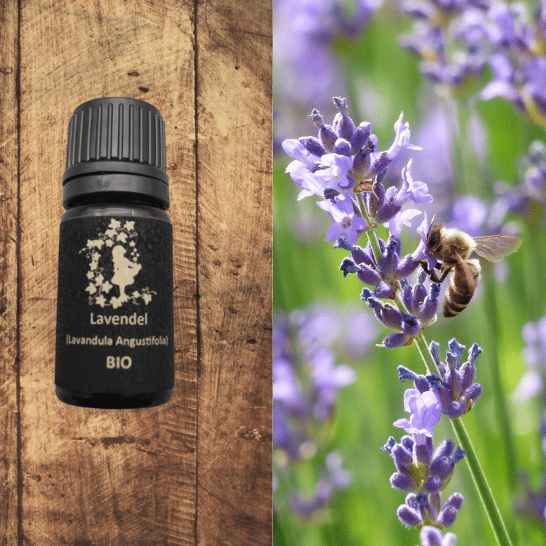 reines ätherisches Öl vom Lavendel (Lavandula Angustifolia) SANIOLIS